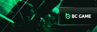 Understanding BCCO Login Your Guide to Accessing the Game